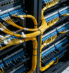 24F MTP trunk cable