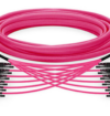 MTP trunk cable