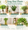 feng shui plants