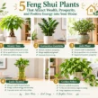 feng shui plants